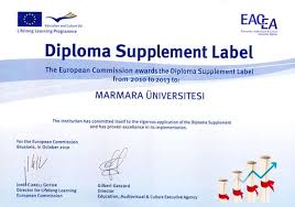 Bu hizmet ile, üniversite mezuniyet bilgilerinizi görüntüleyebilir ve barkodlu üniversite mezun belgesi oluşturabilirsiniz. Mavi Diploma Nasil Alinir Hangi Universiteler Verir