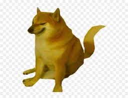 The original meme featured a shiba inu dog (the smallest breed of dog from japan). Mammal Canidae Dog Shiba Inu Carnivore Dog Breed Cheems Doge Png Transparent Png Vhv