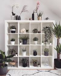 Bouw De Ikea Kallax Kast Om Tot Planten Display Make The Ikea Kallax Shelves Into A Plant Displa Kast Decoratie Kamerplant Decor Tiener Slaapkamer Decoraties
