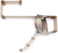 We did not find results for: Amazon Com Catastrophicreations Cat Play Set Wall Mounted Lounge Climb Lounge And Play Furniture Cat Tree Shelves For Pets Natural Natural Ply11nant Pet Supplies