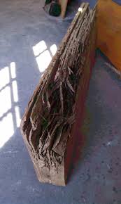 Termite Damage To Wood Frame Of Garage Termite Damage Termite Control Termites