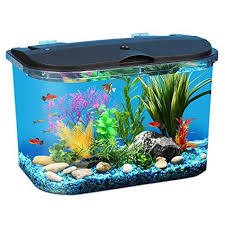 Koller Products Panaview 5 Gallon Aquarium Kit With Led L Https Www Amazon Com Dp B00kirr8by Ref Cm Sw R Pi Aquarium Kit 5 Gallon Aquarium Betta Fish Tank
