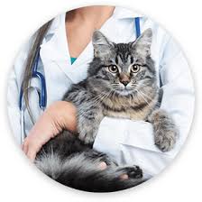 ✅ how much does it cost to own a. Animal Hospital In Grapevine Animal Emergency Hospital North Texas