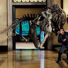 Meh Rexy Night At The Museum Night At The Museum Museum Movie Museum