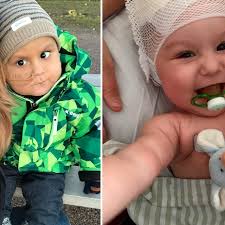 Lovisas son dog i cancer