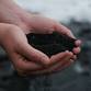 Composting 101 at the Olive Free Library