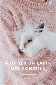 Adopter Et Vivre Un Lapin Mes Conseils Zess Fr Lifestyle Deco Diy Crochet Designer Lapin Lapins Animal De Compagnie Habitat Du Lapin