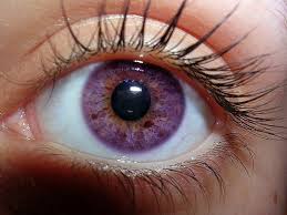 Alexandria's genesis is the genetic mutation that changes eyes color to violet, purple, ,blue or gray following the six months of birth. 19 Dream Eye Color Ideas Eye Color Beautiful Eyes Violet Eyes