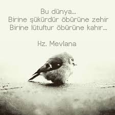 Taylann Adli Kullanicinin Mevlana Sems I Tirmiz I Ve Necip Fazil Panosundaki Pin Guzel Soz Ozlu Sozler Islam