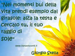 Come Un Girasole Girasoli Citazioni