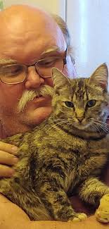 Show us your pictures of #kittylove @ Danville Family Vet