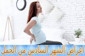 pin on الحمل