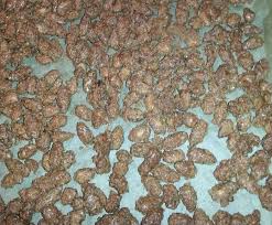 Bine S Knusprige Gebrannte Mandeln Weihnachtsmandeln Rezept Mandeln Gebrannte Mandeln Hunde Futter