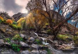 Here are 2 possible meanings. Rudaw English Good Morning Nature Of Wallze Village In Facebook