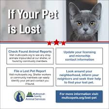 A microchip contains a unique id number, which is registered in a database. Lost A Pet Animal Services