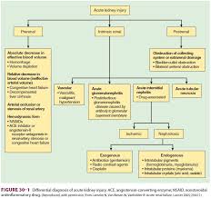 Image result for Postrenal Failure
