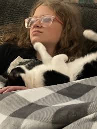 Fundraiser by Danielle Hager : Give Bailey a Chance to Thrive Again