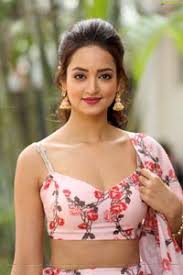 Shanvi Srivastava At Athade Srimannarayana Press Meet Hd Photo Gallery