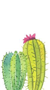 Yo le digo cactus aunque no se si está bien :blush: Green Cactus Iphone Wallpaper Cactus Art Watercolor Cactus