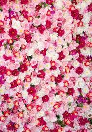 The flower wallpapers also work well as background pictures for your iphone or android smartphone. 35 Flowers Photography Backdrops Ideas Photography Backdrops Flowers Photography Backdrops