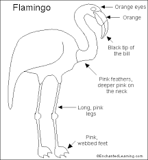 Hairstyles2 Flaming Flamingos Batman