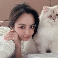 Chia Chi Chen (@chi8127) • Threads, Say more