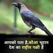 Pin By Sweta Kolay On Gk In 2020 General Knowledge Book General Knowledge Facts Psychology Fun Facts