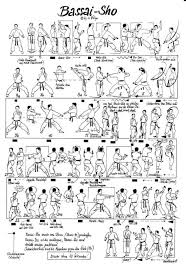 Kata is a tree with many branches beware of the autopilot enjoy your journey Cox Shotokan Karate Bassai Sho