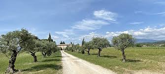 Dès novembre 2021, florent pagny sera en tournée dans toute la france, en suisse et en belgique, pour une série de concerts inoubliables. Immobilier Prestige Immobilier Luxe