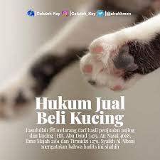Soalan berkenaan hukum jual beli kucing ini pernah ditanyakan kepada mufti wilayah persekutuan sebelum ini. Celoteh Key On Twitter Islam Melarang Jual Beli Kucing Https T Co Edfgmueqge