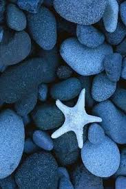 Enjoy their beauty where they are. 49 Starfish Ideas Starfish Ocean Life Under The Sea