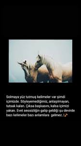 Seher Uzun Adli Kullanicinin Yazi Panosundaki Pin 2020 Guzel Soz Ozlu Sozler Alintilar