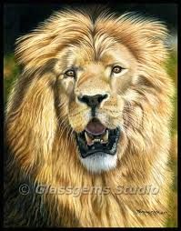 Pin On Art Colored Pencil