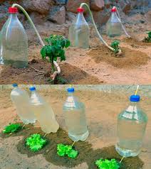 Plants and gardening - How to Water the Plants for a Month at No Cost Full  guide in the first comment 💬👀 | Facebook