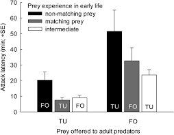 But of course, there are fewer chances for plants to catch pests when these are grown indoors compared to outdoor this has to be used together with other treatments to completely eradicate spider mites. Benefit Cost Trade Offs Of Early Learning In Foraging Predatory Mites Amblyseius Swirskii Scientific Reports