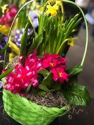 See more ideas about west chester, small towns, towns. Brenda S Flowers Has A Wide Westtown Amish Market Facebook
