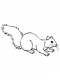 Print and color fall pdf coloring books from primarygames. Printable Squirrel Coloring Pages Coloringme Com