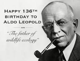 Sharp-tailed Grouse Northeast BC