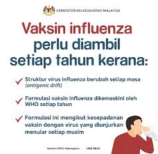 Bayangkan saja, ketika kucing tidak divaksin dan suatu saat terserang penyakit, risiko kematian lebih tinggi. Vaksin Influenza Harga Dan Siapa Yang Memerlukannya Atul Hamid