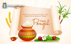 Happy Pongal 2020 Images Gif Pictures Hd Photos Whatsapp Dp Profile Gadget Freeks Everyone want to display good and cool display. happy pongal 2020 images gif
