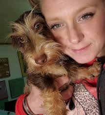 Six female kittens need a home in WA