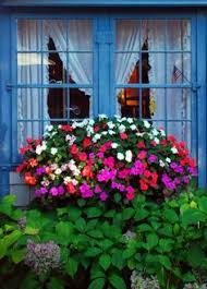 Gardening with deer is a real challenge. 26 Deer Resistant Annuals Ideas Planting Flowers Flower Garden Beautiful Flowers
