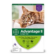 The oral treatment kills fleas rapidly and eliminates them 100% within 7 hours of administration. Capstar Fast Acting Oral Flea Treatment For Cats 6 Doses Walmart Com Walmart Com