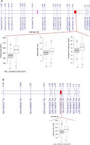 Over the years, the company has dedicated a significant share of its financial and human resprogressive score sdn bhdces to delivering quality wiring and insulating products and services to its customers across the region. Genetic Insights Into Morphometric Inflorescence Traits Of Wheat Springerlink