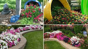 Consider the various types of edible flowers you can it's important to know how to harvest edible flowers depending on the species. 10 Cheap Flower Garden Project Ideas Simphome