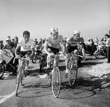 Girondins, stade rochelais et cyclisme. Ocana Merckx Poulidor Auf Der Tour 1972 Bild Kaufen Verkaufen
