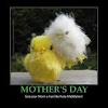 ♥ looking for a great mother's day gift? 1