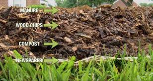 Cardboard could work effectively here too. No Till Gardening Back To Eden Gardening Documentary