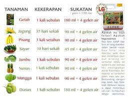 Sukatan & cara bancuhan baja ezigrow. Sukatan Baja Utk Baja Ezigrow Tanjung Karang Selangor Facebook