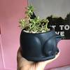 Shop wayfair for all the best large outdoor planters. 1